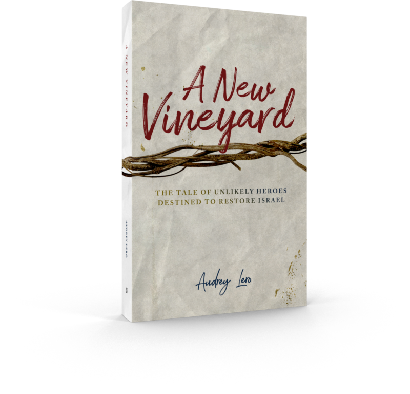 A New Vineyard